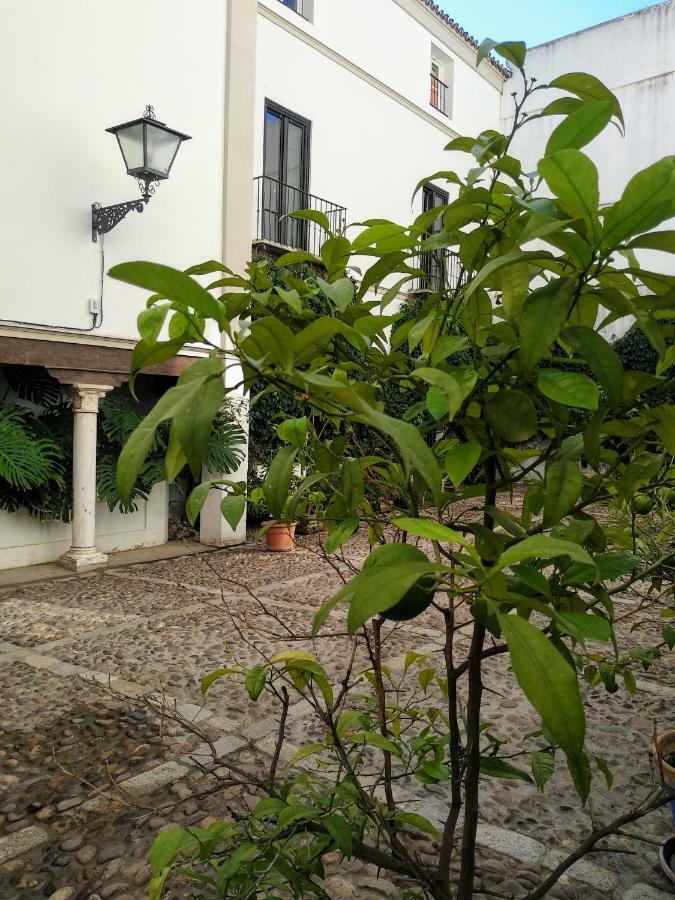 Wish Suite Juderia De Sevilla Sevilha Exterior foto