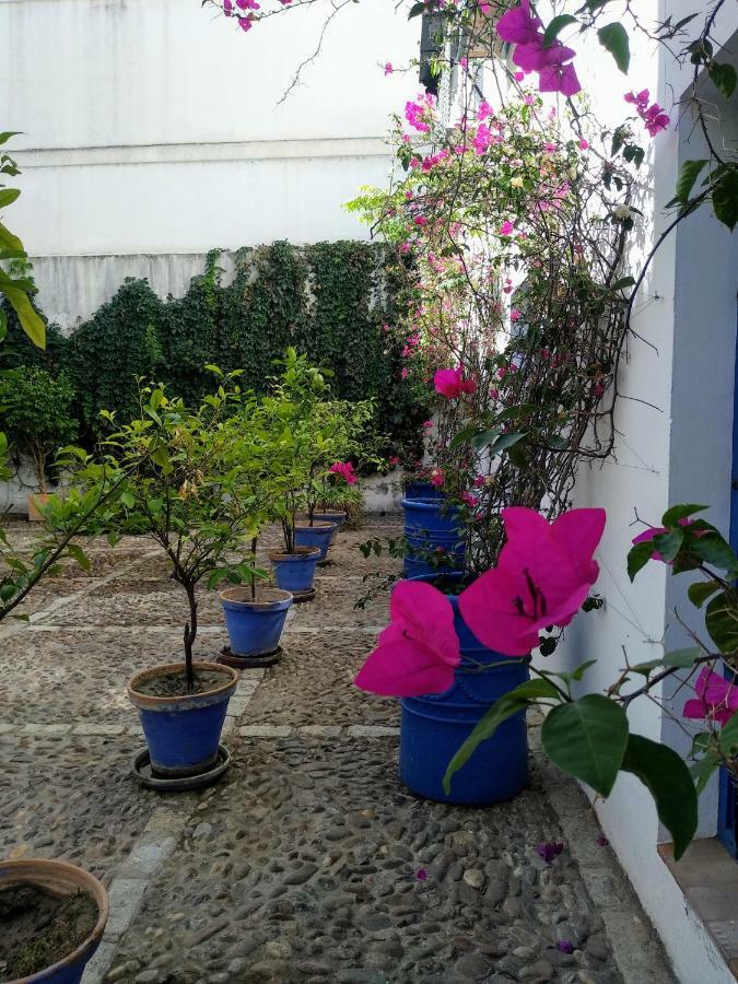 Wish Suite Juderia De Sevilla Sevilha Exterior foto