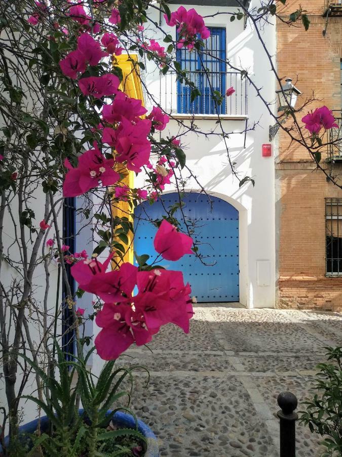 Wish Suite Juderia De Sevilla Sevilha Exterior foto